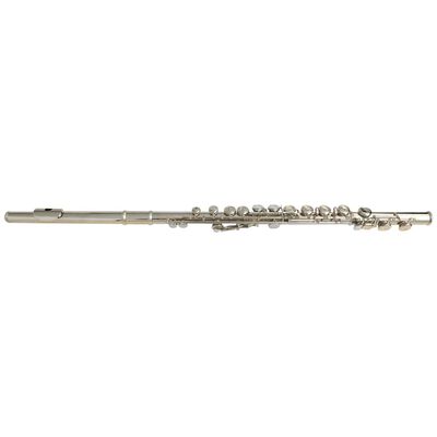 70051 vidaXL Strieborná priečkna flauta v mäkkom puzdre, 16 dierok