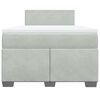 vidaXL Boxspring posteľ s matracom bledosiv&aacute; 120x190 cm zamat