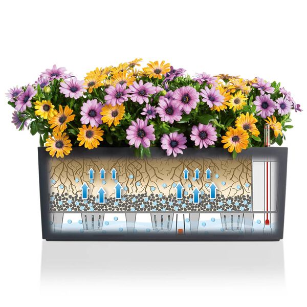 LECHUZA Kvetin&aacute;č Balconera Color 50 ALL-IN-ONE bridlicov&yacute; 15673