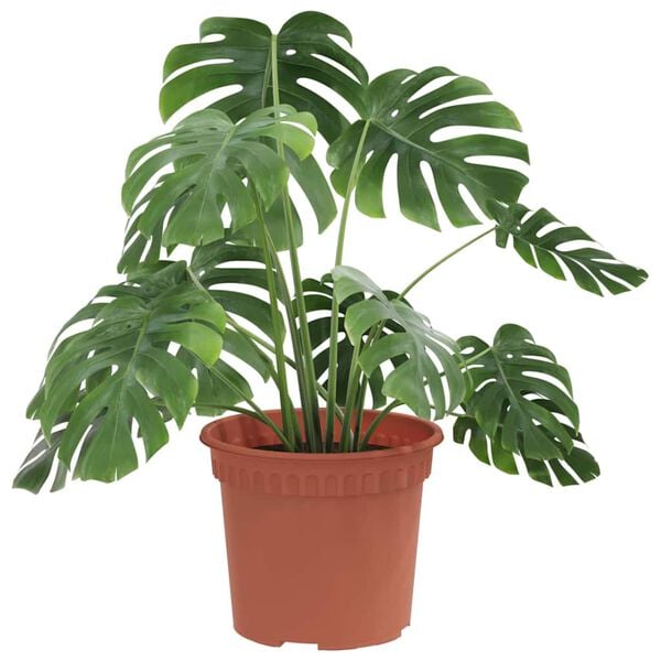 vidaXL Kulat&yacute; kvetin&aacute;č 6 pcs Tehlovo červen&aacute; &Oslash; 12,5 x 10 cm Plast