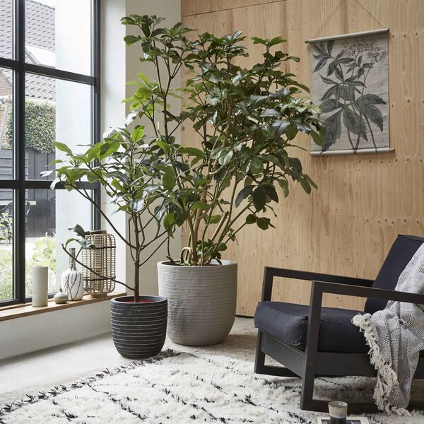 Capi Kvetináč v tvare vajca Nature Row antracitový 54x52 cm KRWZ935