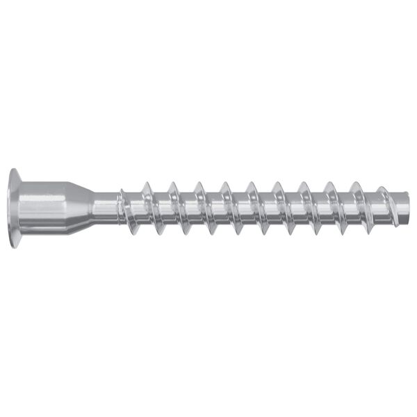 vidaXL Potvrden&eacute; skrutky 2 pcs Strieborn&aacute; &Oslash;7 x 50 mm Kov