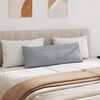 vidaXL Vankúše na pohovku 2 pcs Svetlosivá 120 x 40 cm látka
