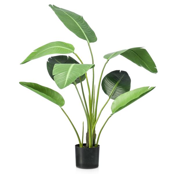 Emerald Umel&yacute; strom Strelitzia v kvetin&aacute;či 120 cm zelen&yacute;