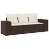 Brown_and_cream