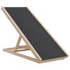 vidaXL Rampa pre psa &scaron;ed&aacute; 100x40 cm jedľov&eacute; mas&iacute;vne drevo
