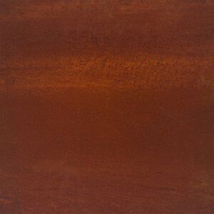 vidaXL Vyv&yacute;&scaron;en&yacute; z&aacute;hradn&yacute; z&aacute;hon 100x100x18,5 cm cortenov&aacute; oceľ
