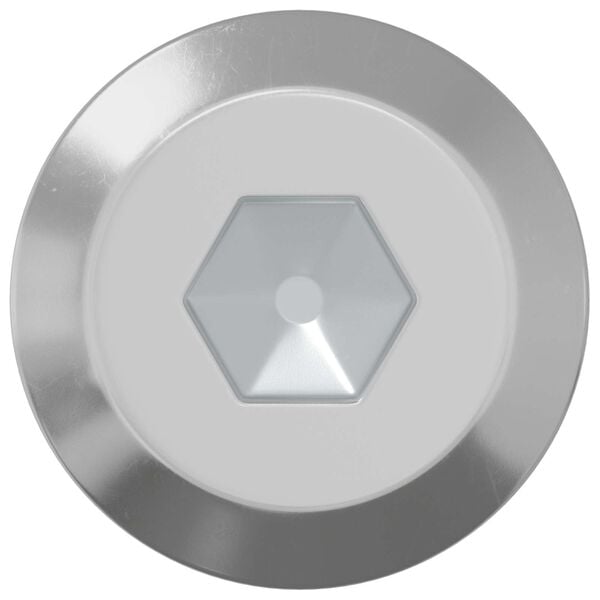 vidaXL Skrutka 12 pcs Strieborn&aacute; M6 x 100 mm Oceľ