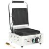 vidaXL Dr&aacute;žkovan&yacute; panini gril z pozinkovanej ocele 1800 W 31x30,5x20cm
