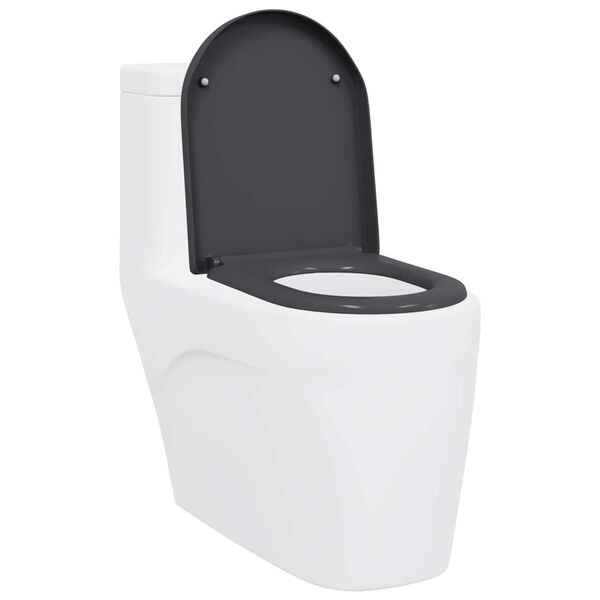 vidaXL Rýchlo uvoľňovacie wc sedátko Antracit 46.2 x 36 x 4.3 cm