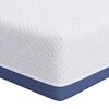 vidaXL Matrac Stredne tvrd&yacute; 70 x 200 cm Biela a modr&aacute;