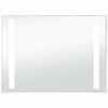 vidaXL K&uacute;peľňov&eacute; n&aacute;stenn&eacute; zrkadlo s LED osvetlen&iacute;m 100x60 cm