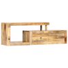 vidaXL TV skrinka 120x30x40 cm masívne mangovníkové drevo