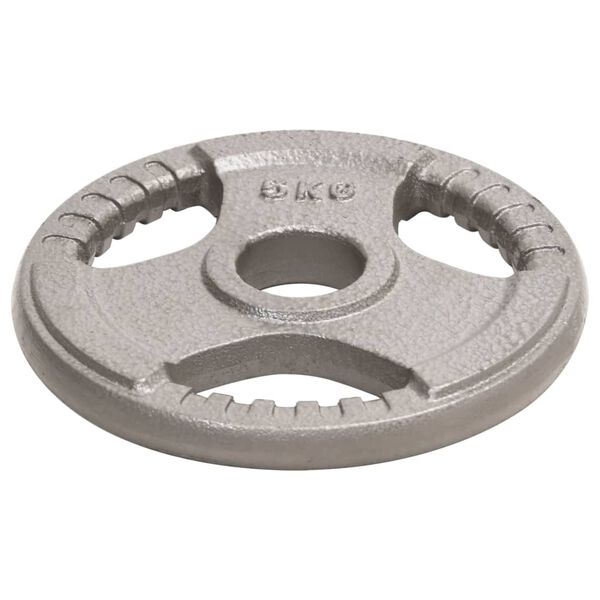 vidaXL Olympijsk&eacute; z&aacute;važia 4 ks 20 kg liatina