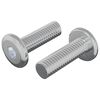 vidaXL Skrutka 2 pcs Strieborn&aacute; 8 x 25 mm Oceľ