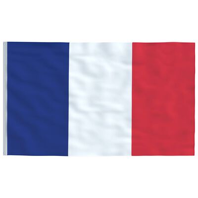 vidaXL Francúzska vlajka a stĺp 4 m hliníkový
