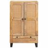 vidaXL Highboard s dverami Hned&aacute; 40 x 33 x 110 cm Mas&iacute;vne mango drevo