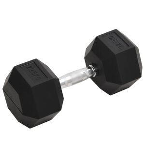 vidaXL Jednoručn&aacute; činka 22,5 kg liatina