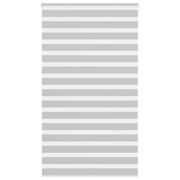 vidaXL Zebra roleta svetlosiv&aacute; 125x230cm &scaron;&iacute;rka l&aacute;tky 120,9cm polyester