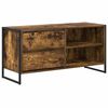 vidaXL TV skrinka 100 x 36 x 49,5 cm Dymov&yacute; dub Kompozitn&eacute; drevo