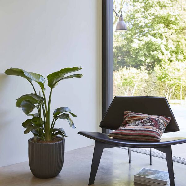 Capi Kvetináč v tvare vajca Urban Tube 43x41 cm čierny KBLT933