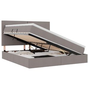 vidaXL Postel s &uacute;ložn&yacute;m prostorem a LED svetlom Sivohned&aacute; 160 x 200 cm