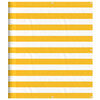 Yellow_and_white