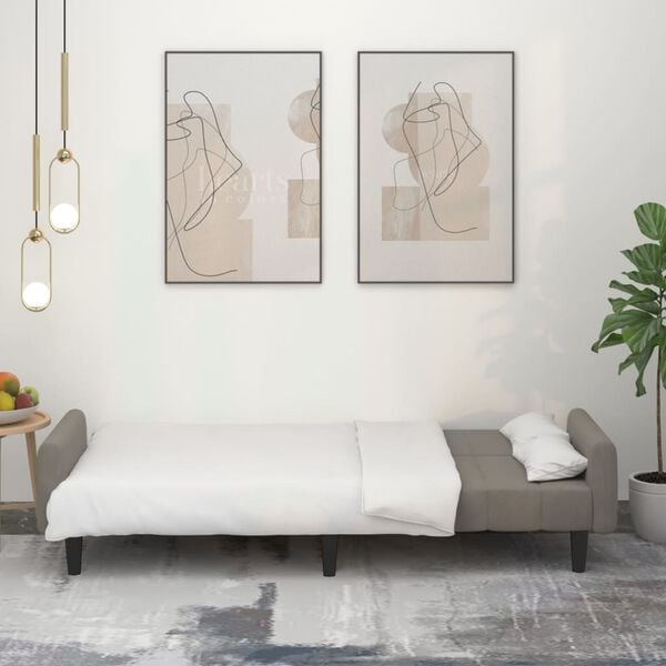 vidaXL 2-miestna rozkladacia pohovka bledosiv&aacute; zamatov&aacute;