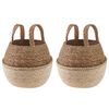 vidaXL Kvetin&aacute;č s uchami 2 ks Biela &Oslash; 22 x 20 cm 100% Morsk&aacute; tr&aacute;va
