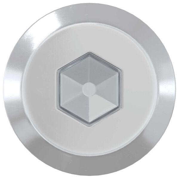 vidaXL N&aacute;bytkov&eacute; skrutky 2 pcs Strieborn&aacute; M6 x 100 mm Oceľ