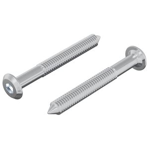 vidaXL Skrutka 2 ks Strieborn&aacute; M6 x 50 mm Oceľ