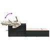 vidaXL Dvojité ležadlo so strieškou a podložkami, čierne, polyratan