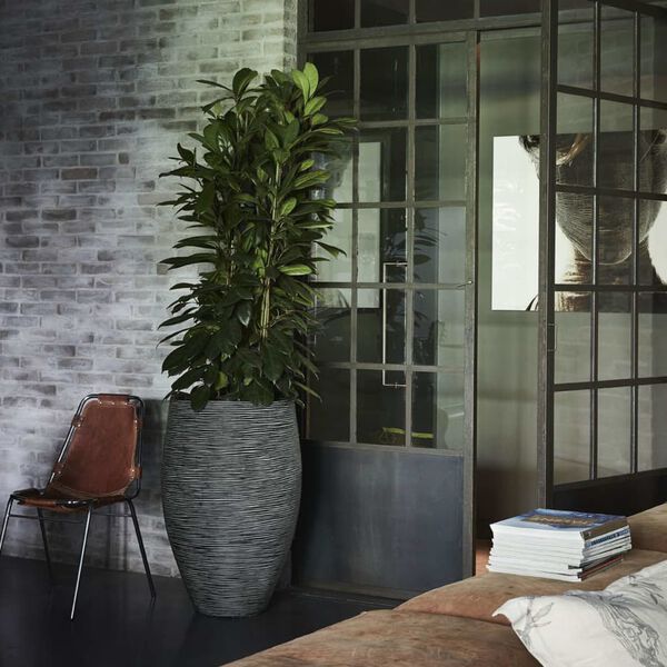 Capi Kvetináč elegantný antracitový 45x72 cm Nature Rib Deluxe