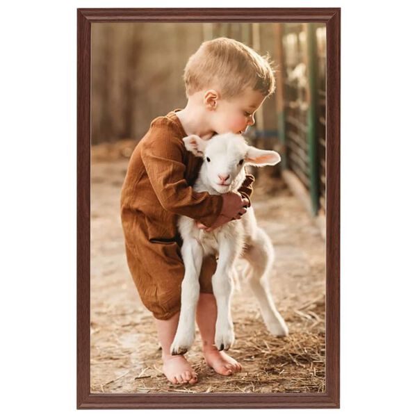 vidaXL Fotor&aacute;miky na st&ocirc;l, kol&aacute;ž 5 ks, hned&eacute; 21x29,7 cm, MDF