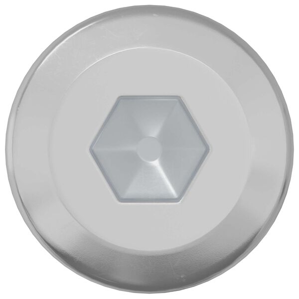 vidaXL Z&aacute;mkov&aacute; skrutka Jednofarebn&yacute; 2 pcs Strieborn&aacute; M6 x 12 mm Oceľ