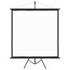 vidaXL Projekčn&eacute; pl&aacute;tno so stat&iacute;vom 89" 1:1