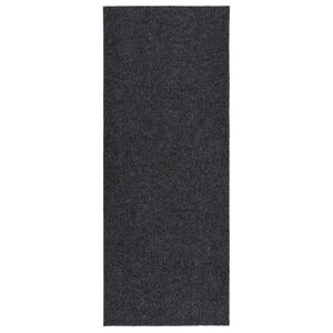 vidaXL Rohož na zachyt&aacute;vanie nečist&ocirc;t 100x250 cm antracitov&aacute;