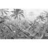 Komar Fototapeta Amazonia čierno-biela 400x250 cm