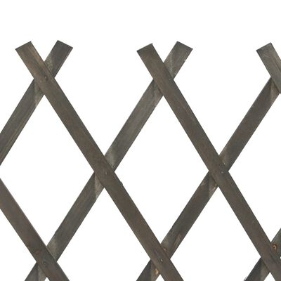 vidaXL Záhradný mriežkový plot sivý 120x90 cm masívne jedľové drevo