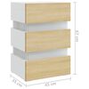 vidaXL Nočný stolík s LED, biela a sonoma 45x35x67cm, kompozitné drevo