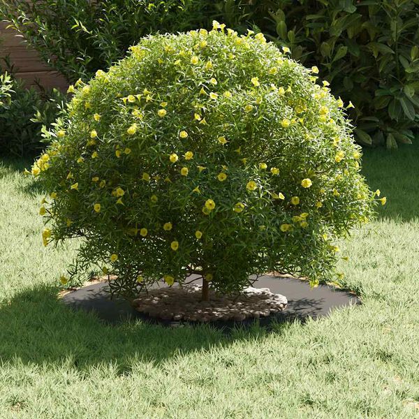 vidaXL vhodný pre ploché stromové krúžky 5 pcs Čierna Ø30 / 60 cm Oceľ