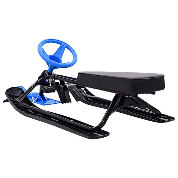 vidaXL Sane/skiboby, čierne a modr&eacute;