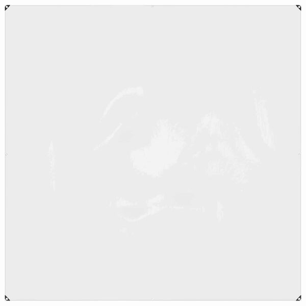 vidaXL Plachta s očkami Priehľadn&aacute; 2 x 2 m Polyetyl&eacute;n