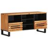 vidaXL TV skrinka 100x34x46 cm, ak&aacute;ciov&yacute; mas&iacute;v