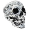 vidaXL Halloweenska lebka SPOOKA 2 ks Biela 12 x 15 x 17.5 cm Plast