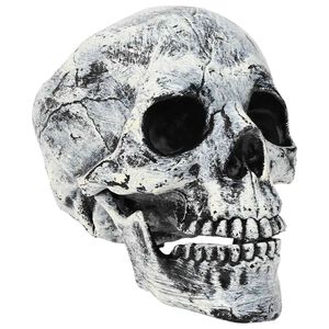 vidaXL Halloweenska lebka SPOOKA 2 ks Biela 12 x 15 x 17.5 cm Plast