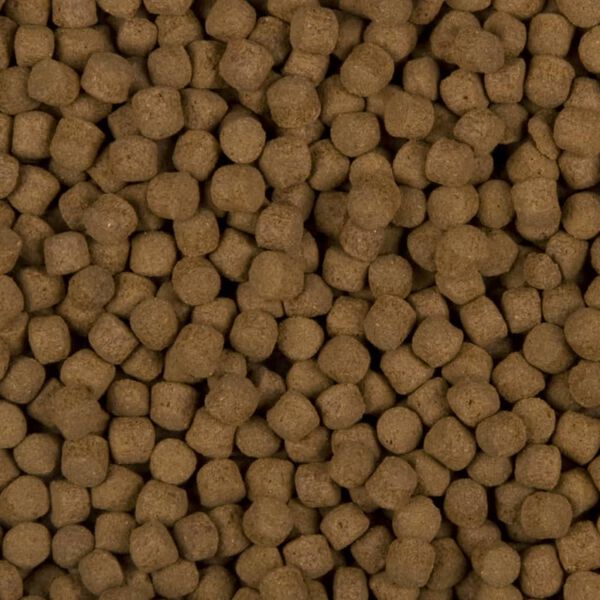 Sanikoi Krmivo pri ryby Excellent All-round 5500 g