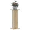 Sonoma_oak
