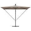 vidaXL Kantileverový banánový parasol Sivohnedá 294 x 200 x 254 cm