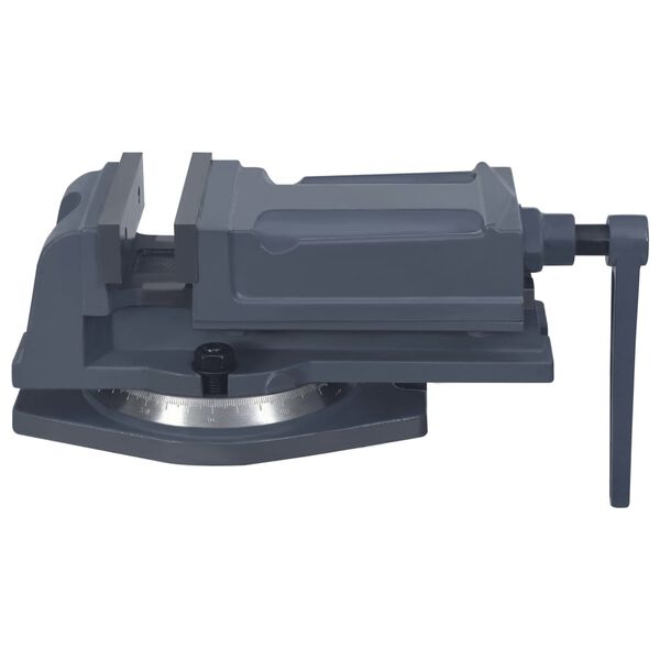 vidaXL Otočn&yacute; strojov&yacute; zver&aacute;k liatina 125 mm